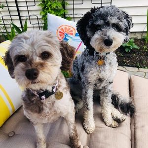 Meet your Posher, Michelle